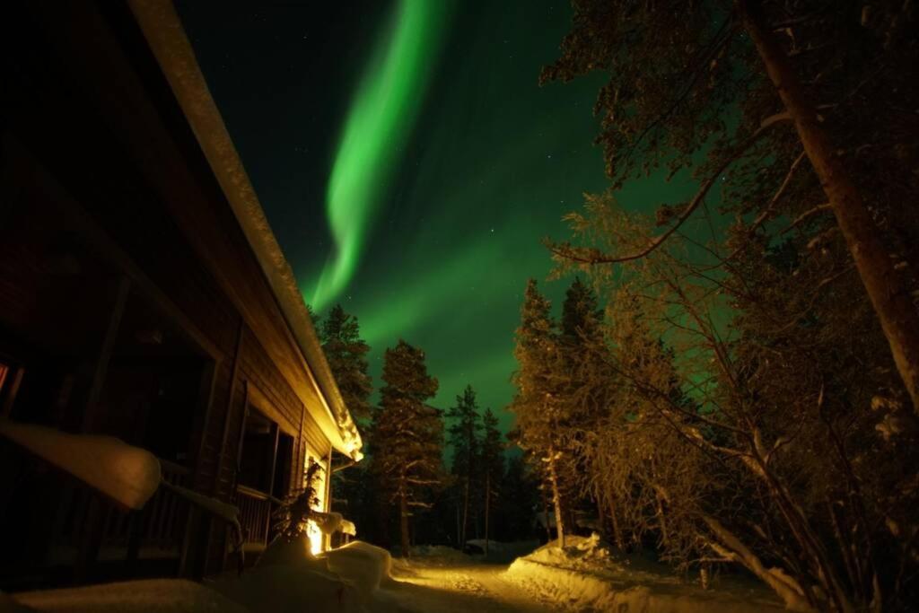 Gold Legend Paukkula#2 -